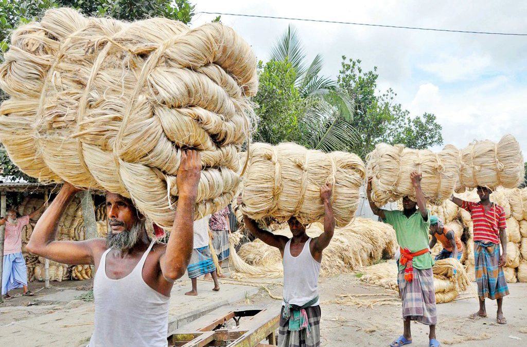 Jute Suppliers From Bangladesh