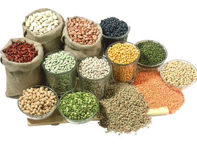 Yummy dry food from Aristaexport in a very competitive price.