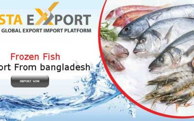 Frozen Fish Suppliers From Bangladesh