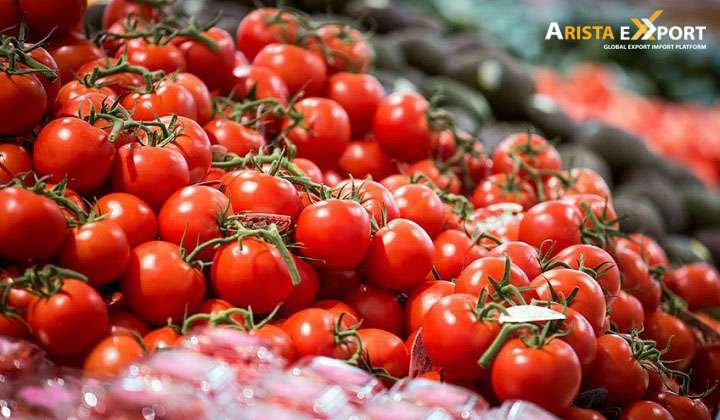 Bangladeshi Tomato Exporters