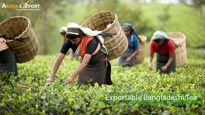 Exportable Bangladeshi Tea