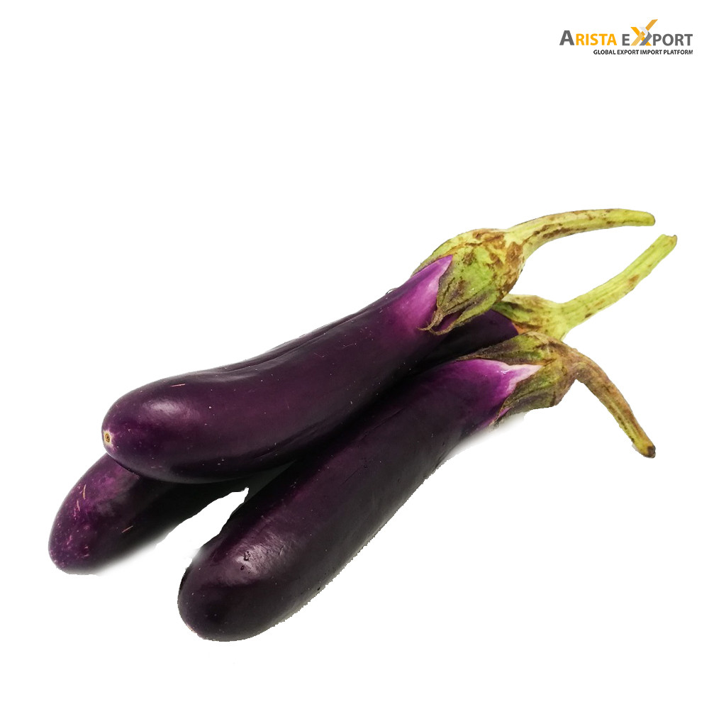 Home Categories Agricultural Products Vegetables Quality Fresh Eggplant ...